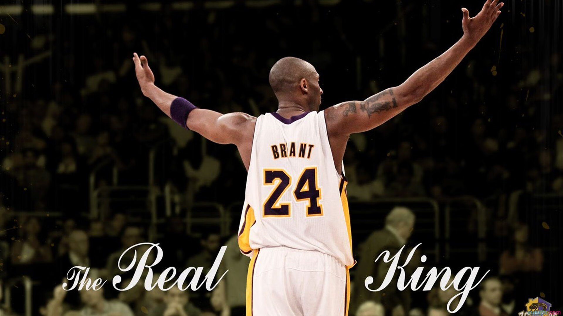 _极限登顶：勇者挑战世界最高峰_，极限勇士挑战